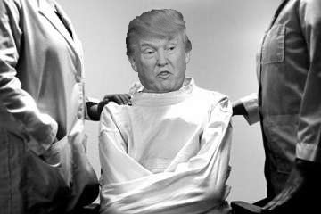 donaldtrumpstraitjacket