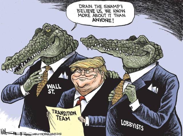 trumpdrainswamp