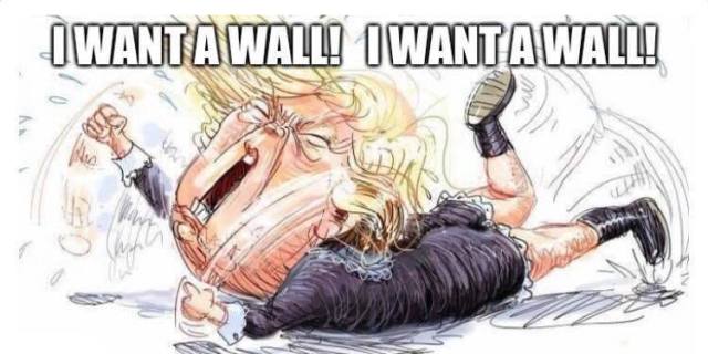 TrumpWantWall